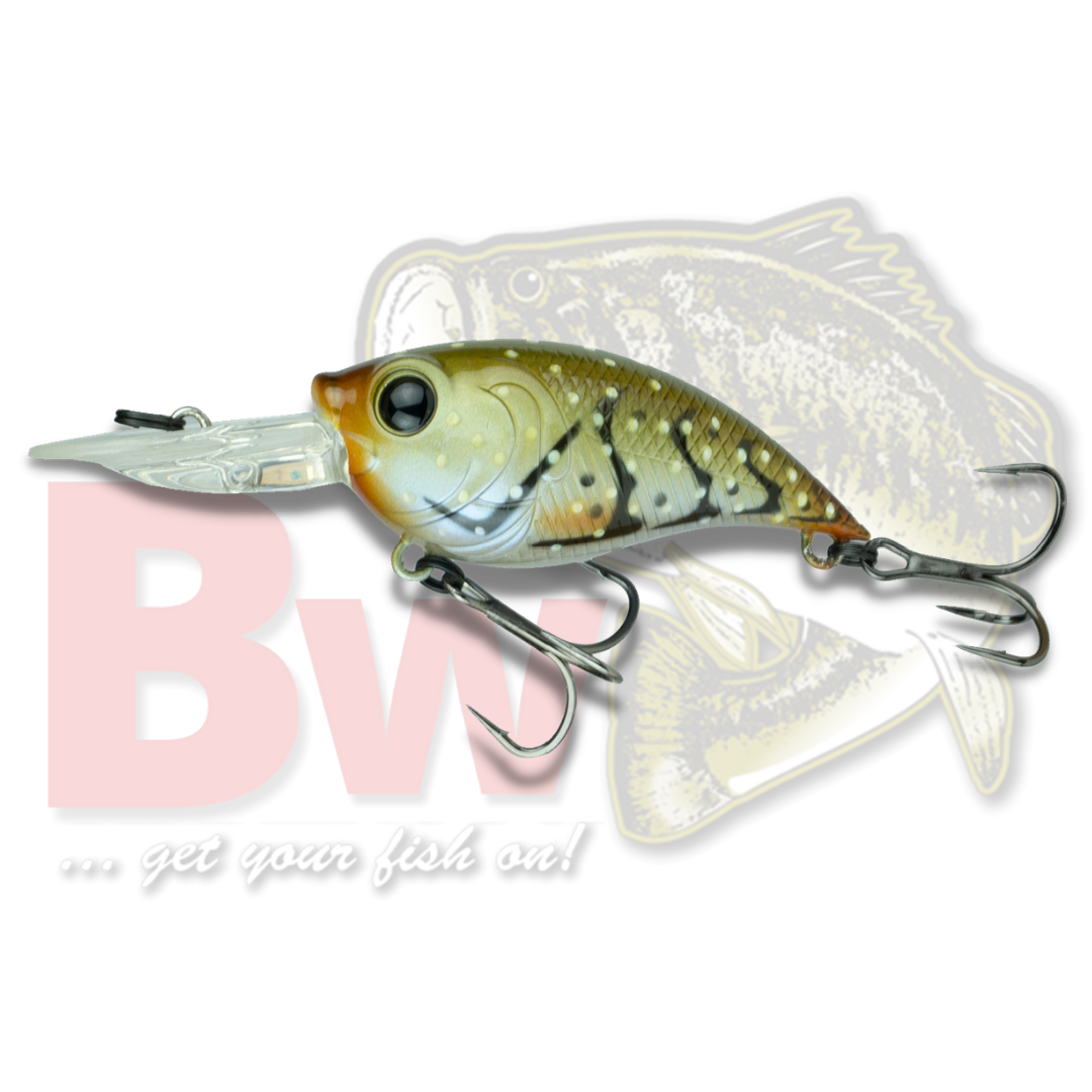 6th Sense Curve 55 Squarebill Crankbait