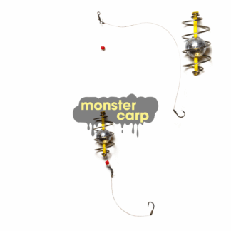 Monster Carp Rietvlei Spring